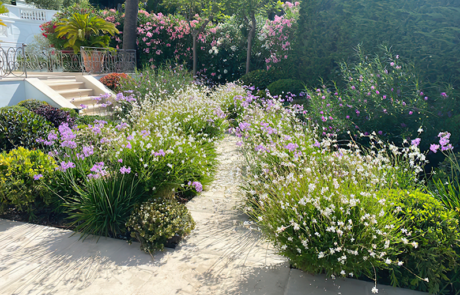 Les Jardins De La Cote Creation De Jardins A Mouans Sartoux Img 7 1