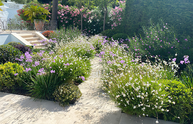 Les Jardins De La Cote Creation De Jardins A Mouans Sartoux Img 7