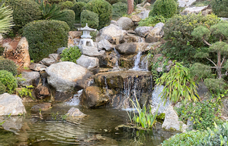 Les Jardins De La Cote Creation De Jardins A Mouans Sartoux Img 8 1